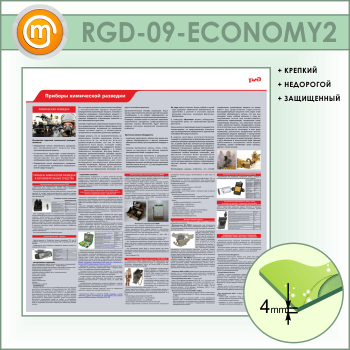     (RGD-09-ECONOMY2)